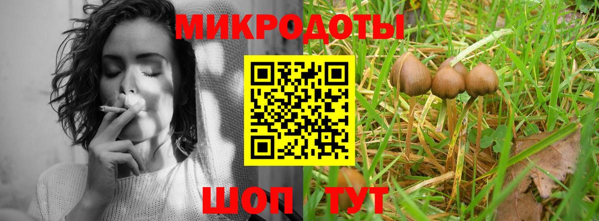Псилоцибиновые грибы GOLDEN TEACHER  Вход с VPN  Псилоцибиновые грибы GOLDEN TEACHER  Подольск 